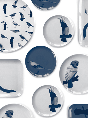 miniature_habitat_birds