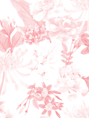 miniature_habitat_japan2